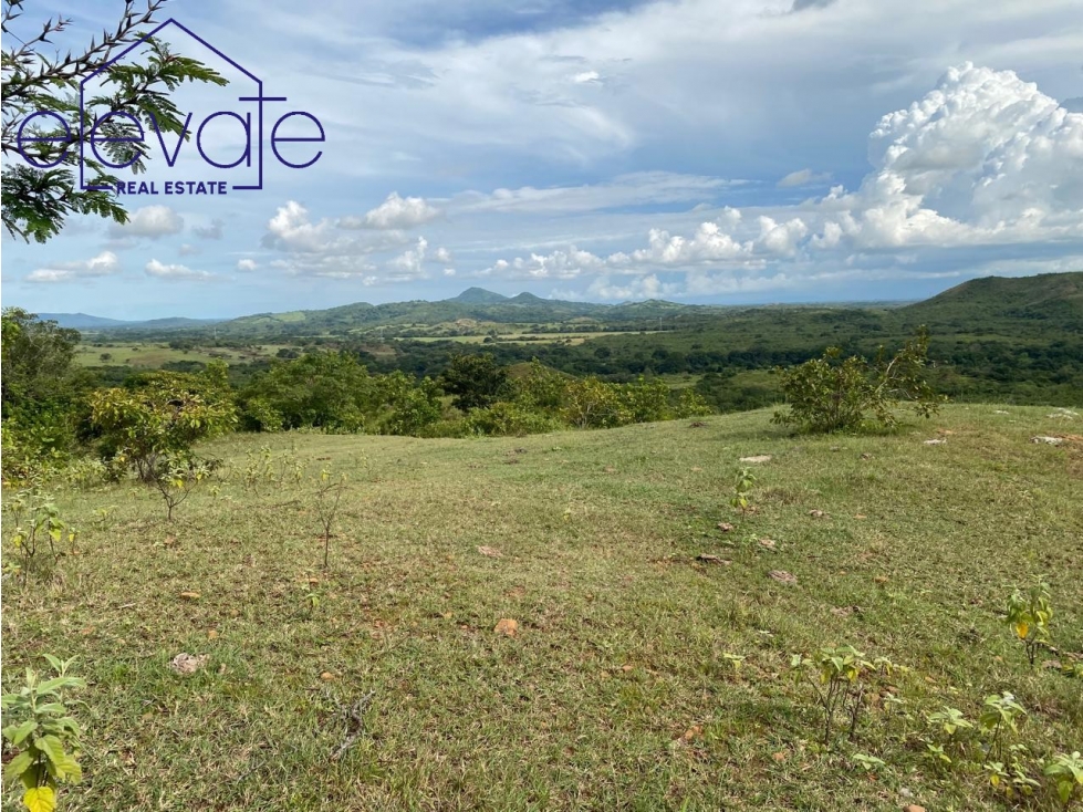 FINCA EN CHURUBE - COCLE - 4