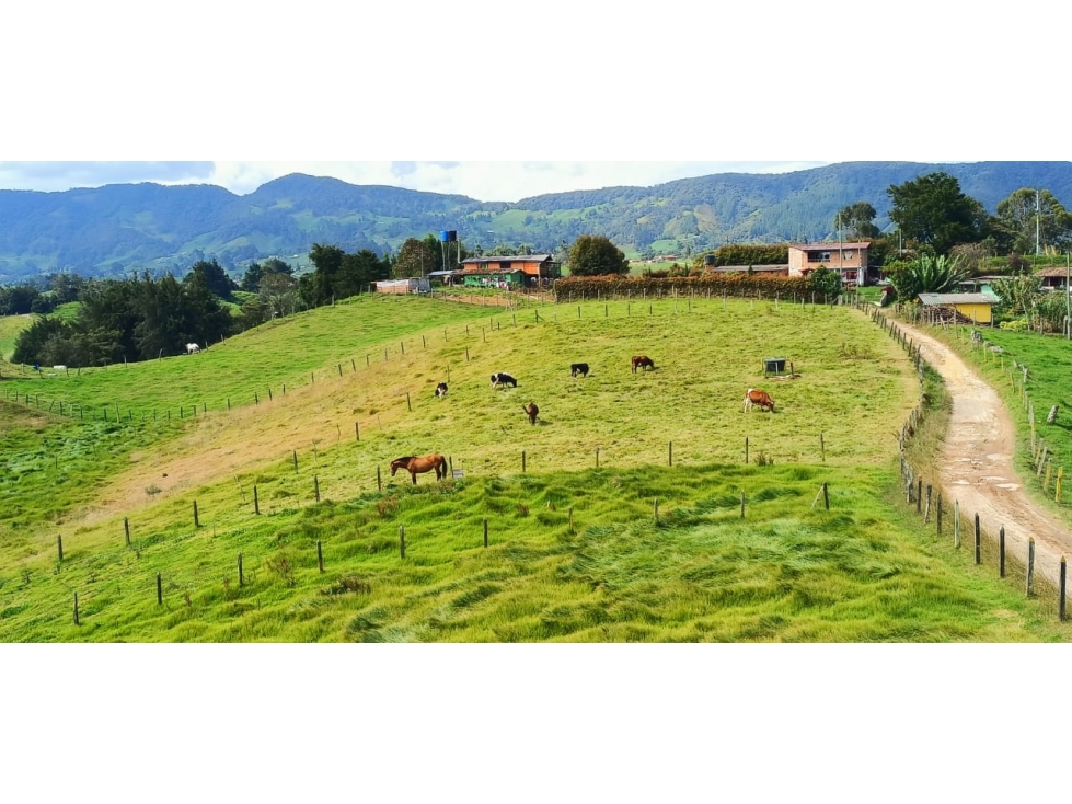 VENDO LOTE EN SAN PEDRO DE LOS MILAGROS - PARCELACION