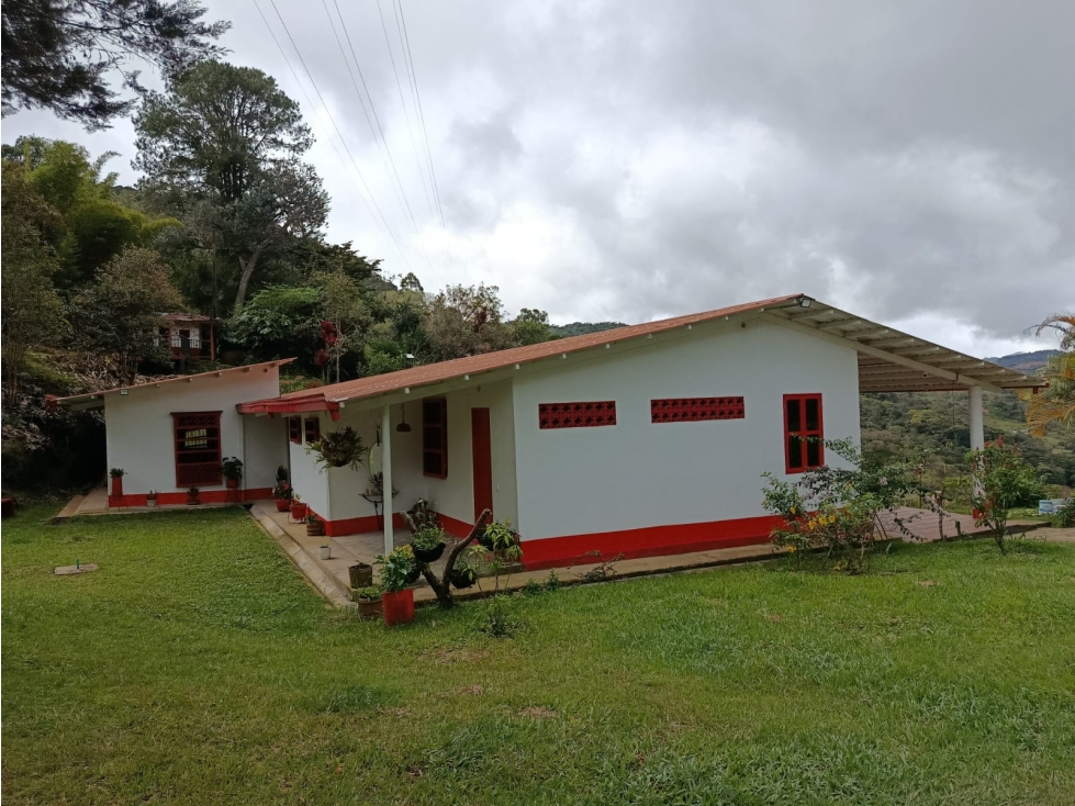 VENDO FINCA DE 40 HECTÁREAS SANTO DOMINGO, ANTIOQUIA - 1