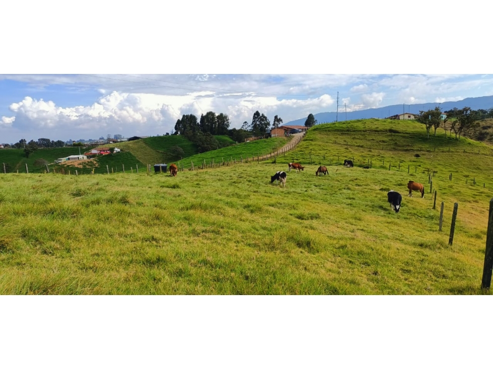 VENDO LOTE EN SAN PEDRO DE LOS MILAGROS - PARCELACION — foto 2