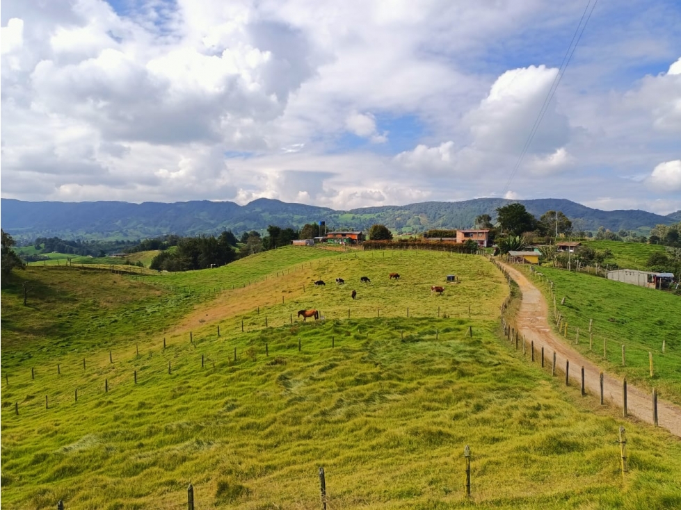 VENDO LOTE EN SAN PEDRO DE LOS MILAGROS - PARCELACION — foto 3