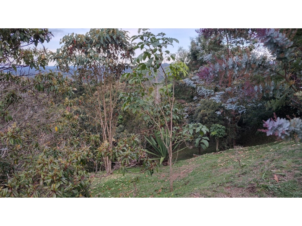 CASA FINCA DE LUJO EN SANTA ELANA 8800 M2 VIA PARQUE ARVI — foto 3
