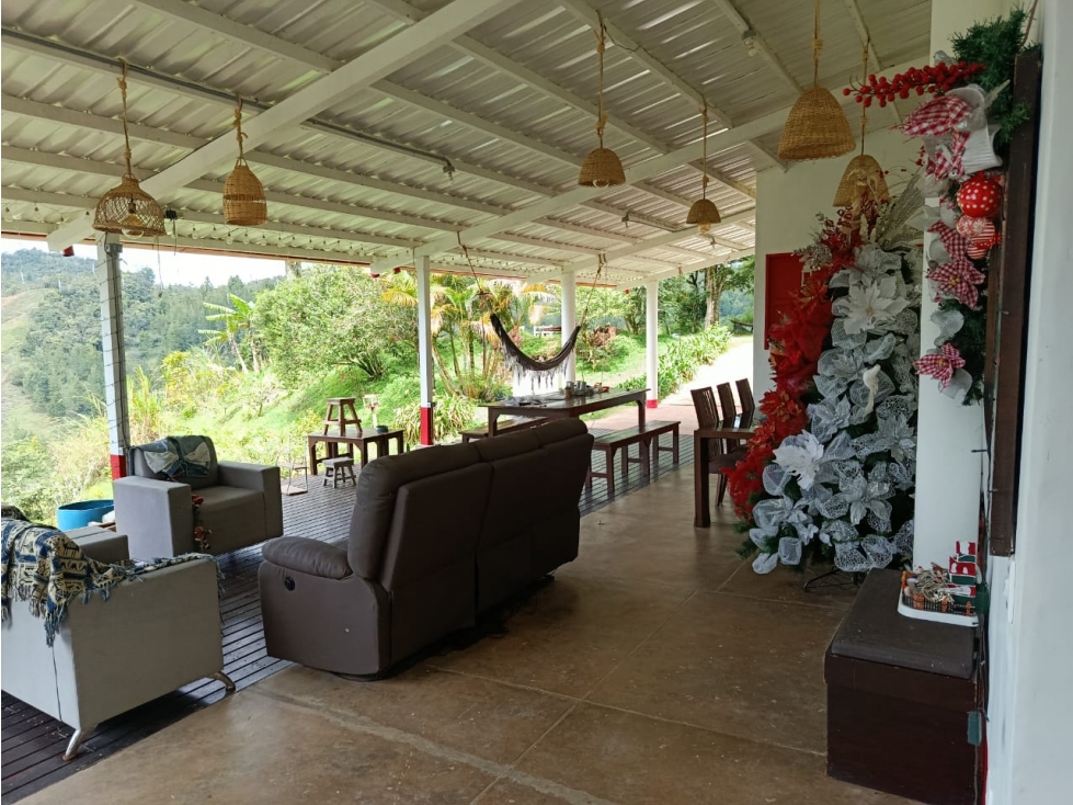 VENDO FINCA DE 40 HECTÁREAS SANTO DOMINGO, ANTIOQUIA - 6