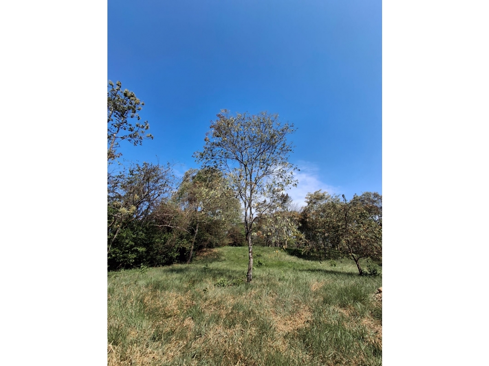 LOTE CAMPESTRE EN PROMOCION - VIA SIRIVANA. (ALTA VALORIZACION) - 4