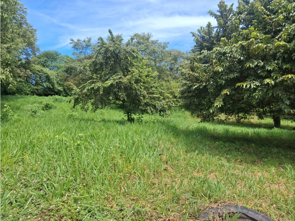 LOTE CAMPESTRE EN PROMOCION - VIA SIRIVANA. (ALTA VALORIZACION) - 5