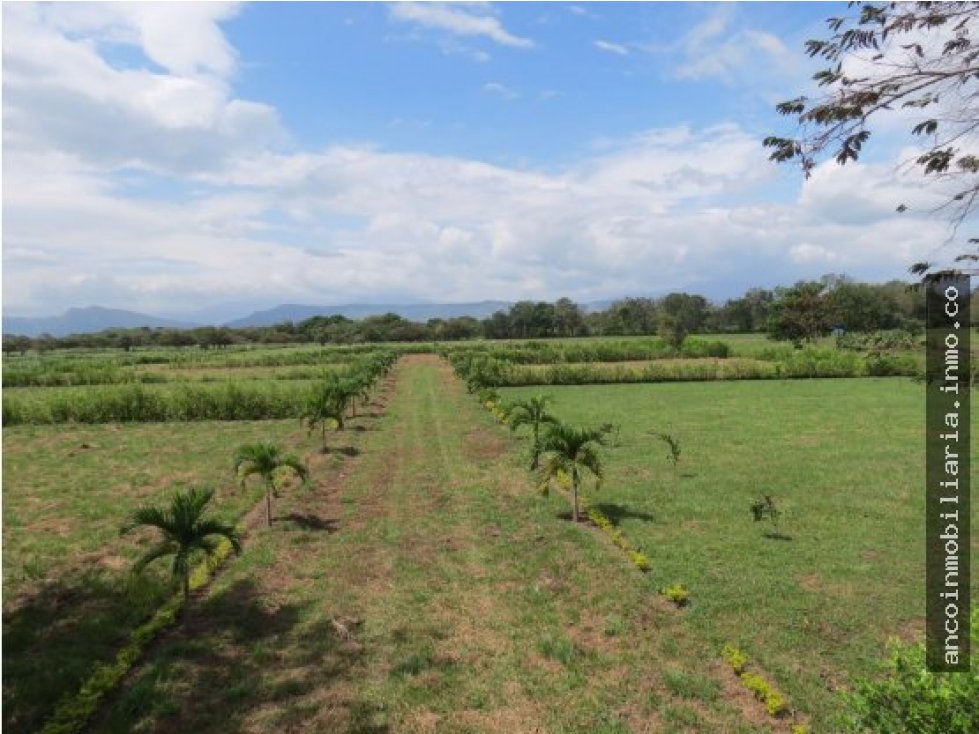 Lote Campestres en Conjunto Cerrado - 3