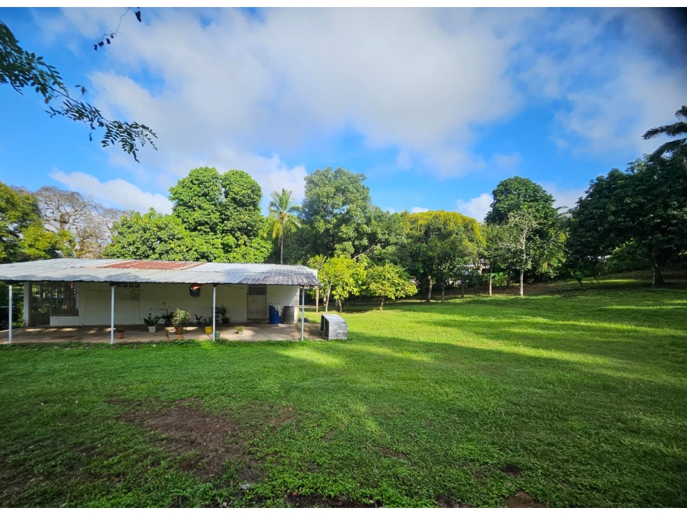 Se vende Terreno de 12000 mts2 en Villa Rosario Capira - 1