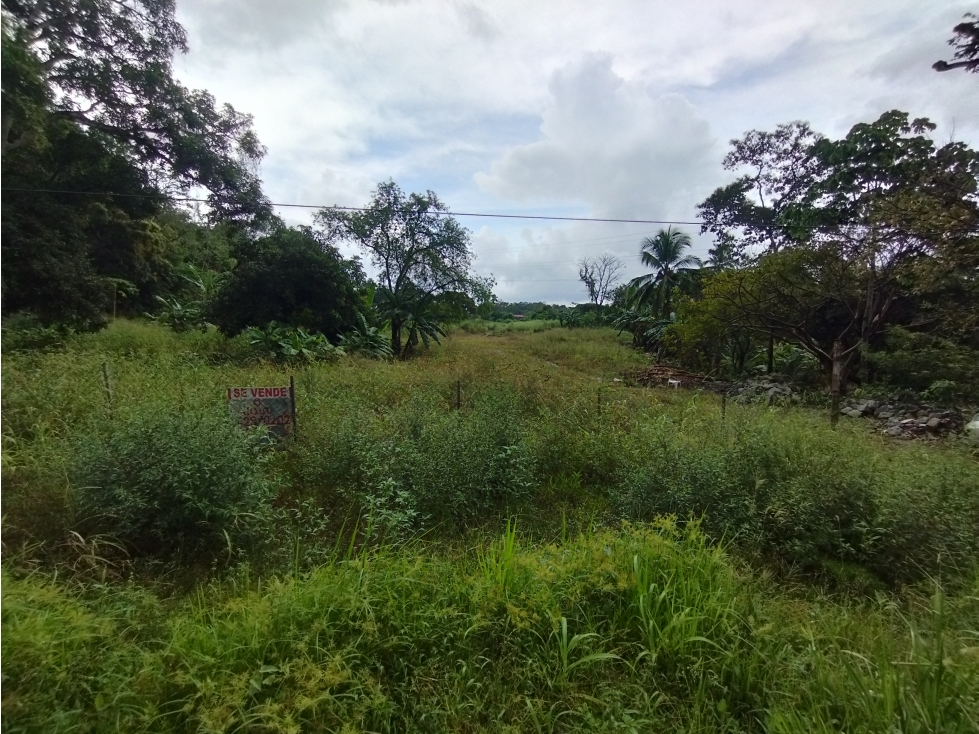 Se Vende finca de 1.2 has en Arraiján-Panamá Oeste (DR) — foto 6