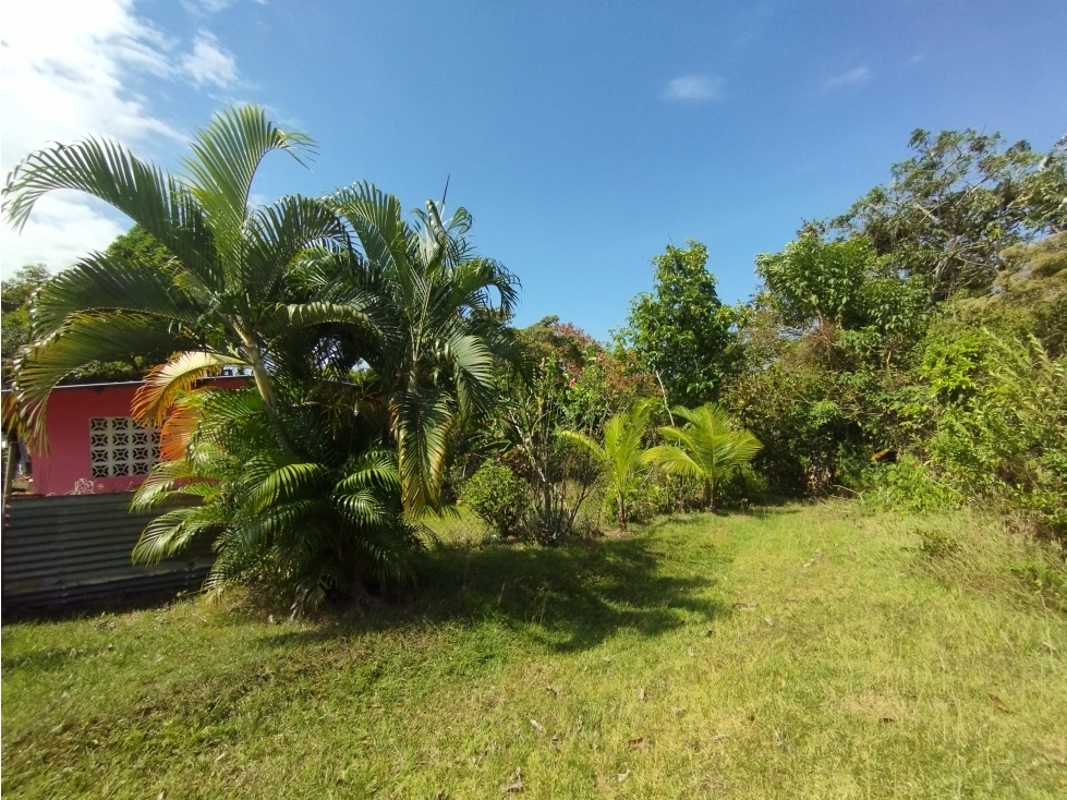 Se Vende Terreno de 4.700m2 en Potrero Grande-La Chorrera (DR) - 5