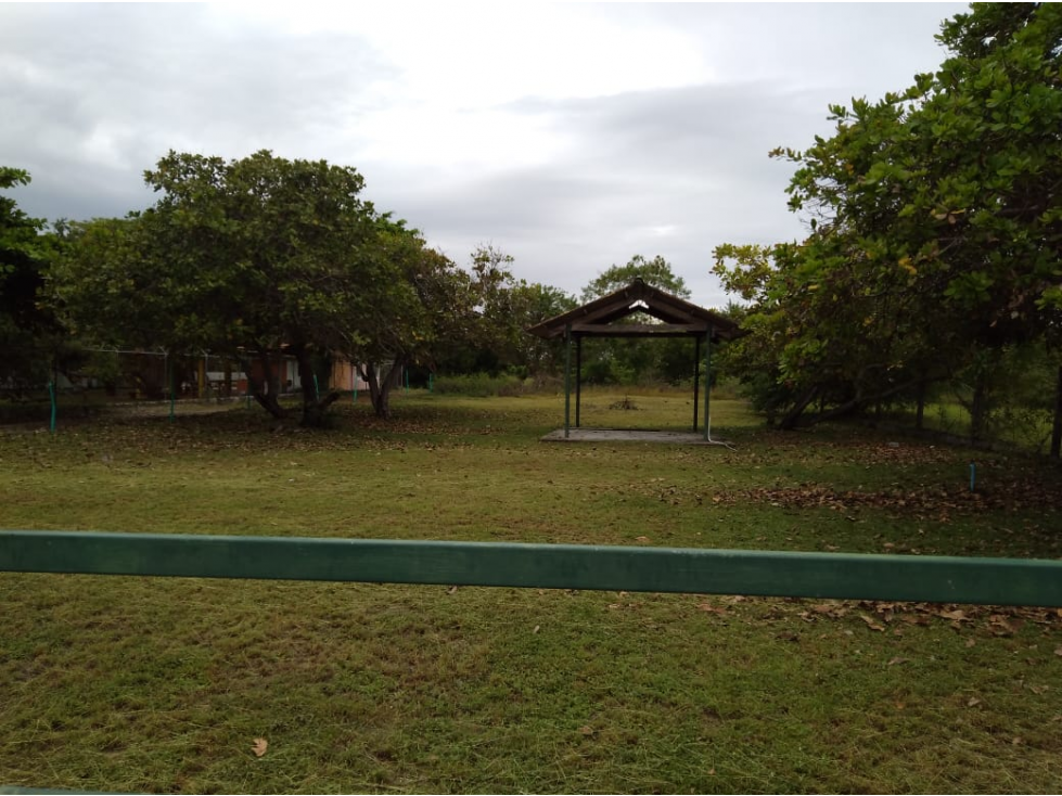 Se Vende Terreno de 1000m2 en Gorgona — foto 2