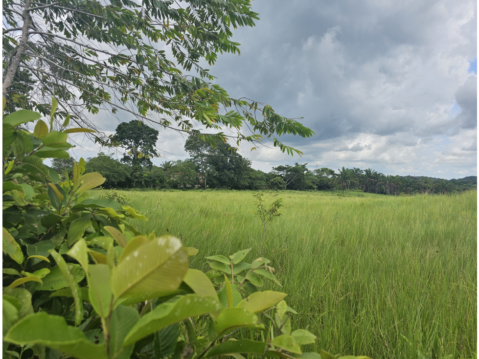 Se Venden Lotes desde 1000mt2 Panamá Oeste - 1