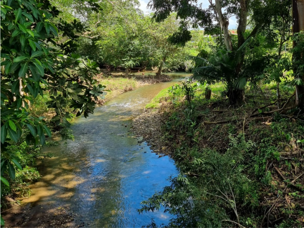 Se Vende Finca de 253 Ha. en Chepo (H) - 2