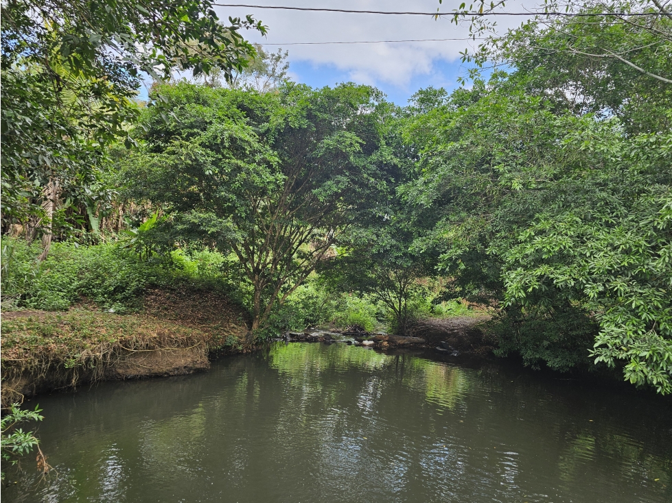 Se Vende Finca en Capira 5.5 Hectáreas - 2