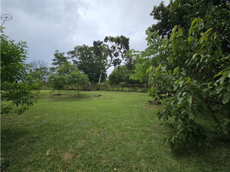 Se vende finca comercial de 3.8 hectáreas en Arraiján, Nuevo Chorrillo