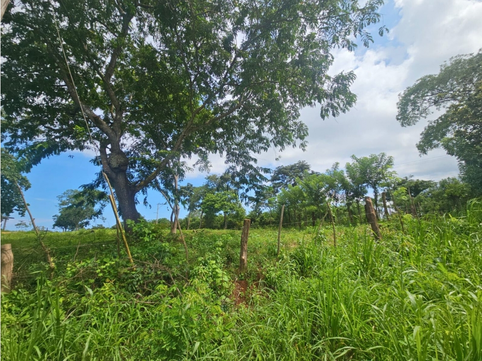 Se Vende Finca de 4.8 has comercial en La Chorrera, Puerto Caimito - 2