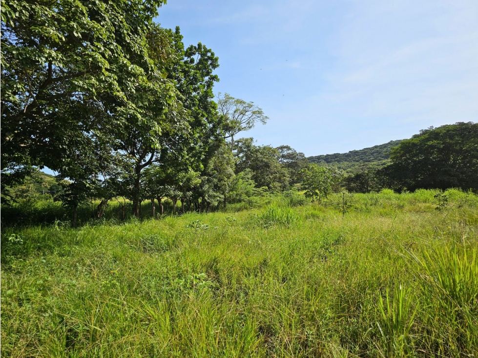 Se vende finca comercial de 5 HAS en Penonomé, Vía Ciruelito - 1