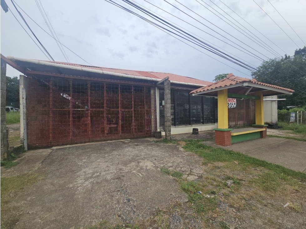 Se Vende Lote Comercial en La Chorrera, Vía La Mitra - 1