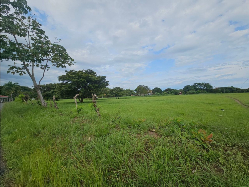 Se vende finca de 2.8 hectáreas en Llano Marin, Penonomé - 1