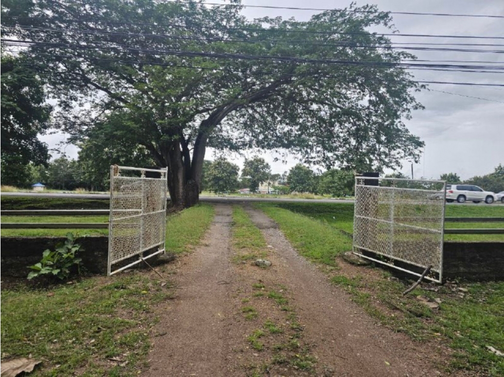 Se vende finca comercial en Penonomé de 1.4 has. - 1