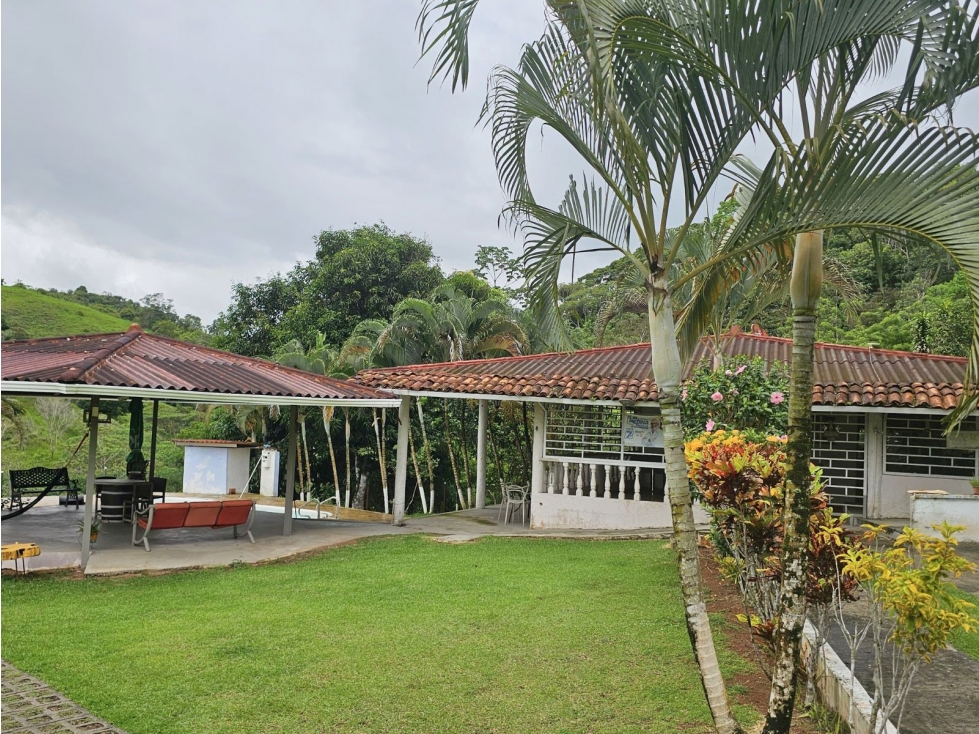 Se Vende Finca de 12 Has en Capira Trinidad con Casa Campestre (DR) - 3