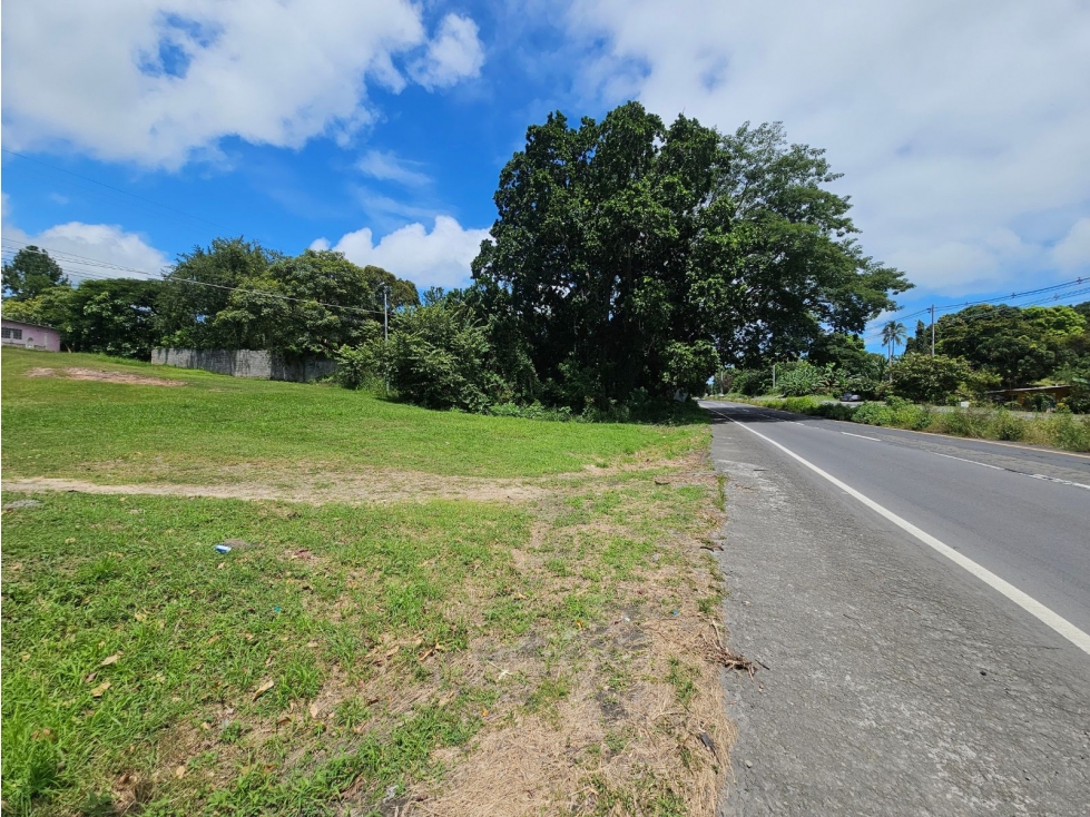 Se Vende Lote Comercial de 104m2 en Interamericana, Chame (DR)