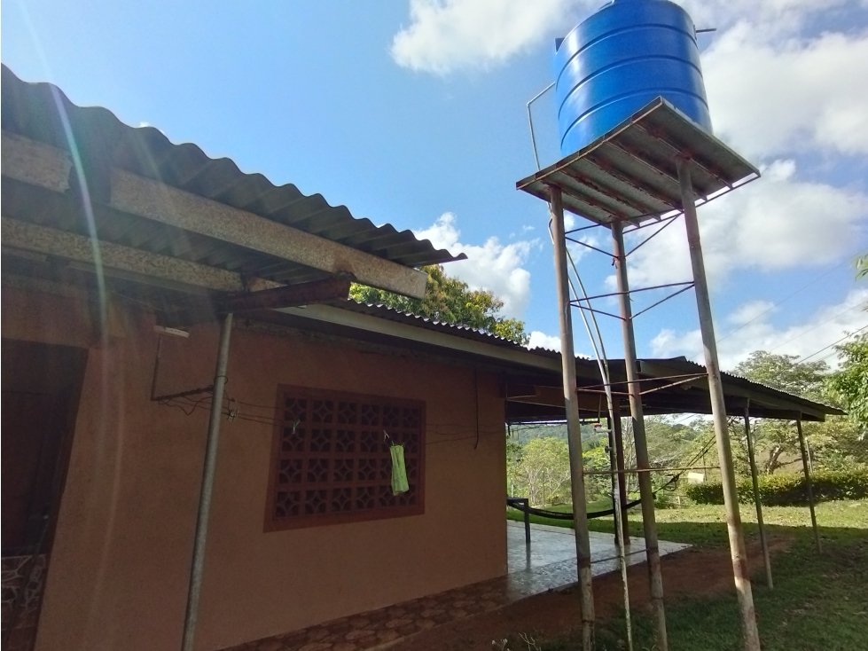 Se Vende Finca de 35 HAS en las Lajitas-Chorrera (DR) - 4