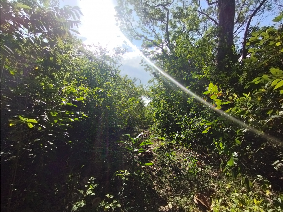 Se Vende Finca Comercial de 1.1 HAS-Chorrera (DR) - 2