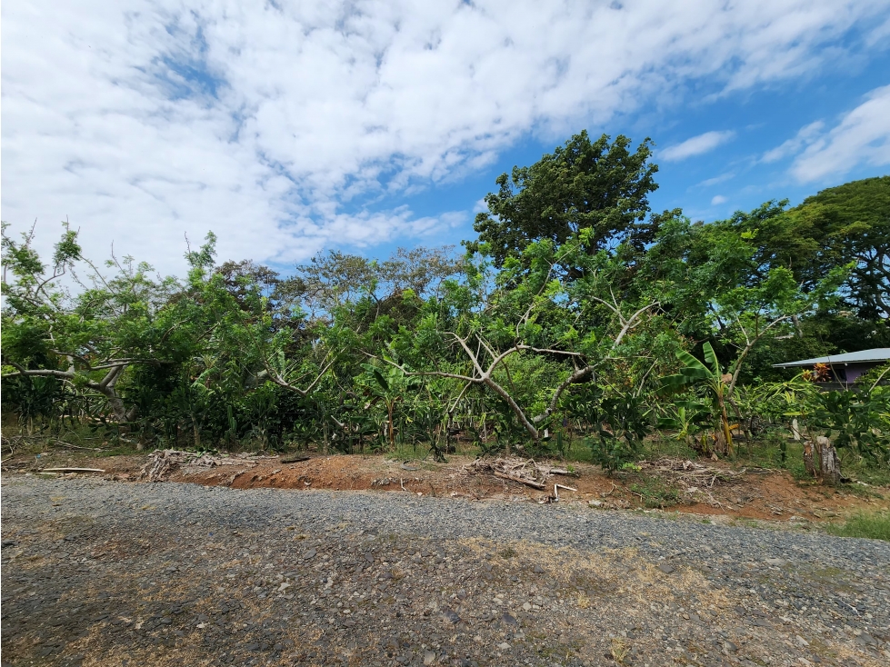 Se Vende Lote de 900m2 La Seda-Chorrera (DR) - 1