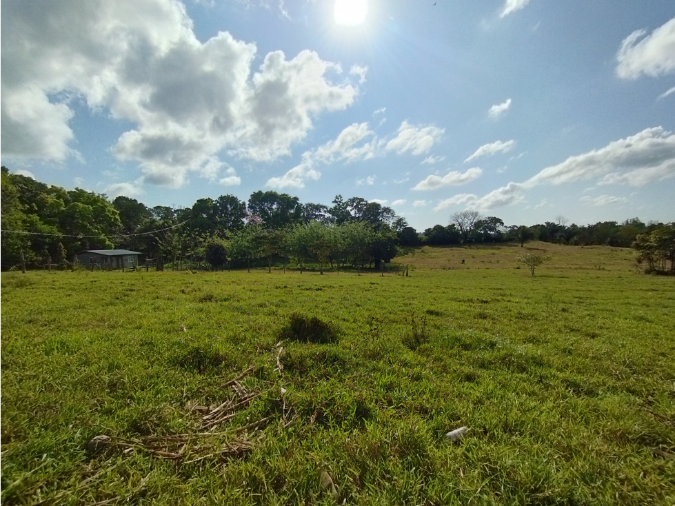 Se Vende Finca de 15 HAS el Lirio Arraijan (DR) — foto 4
