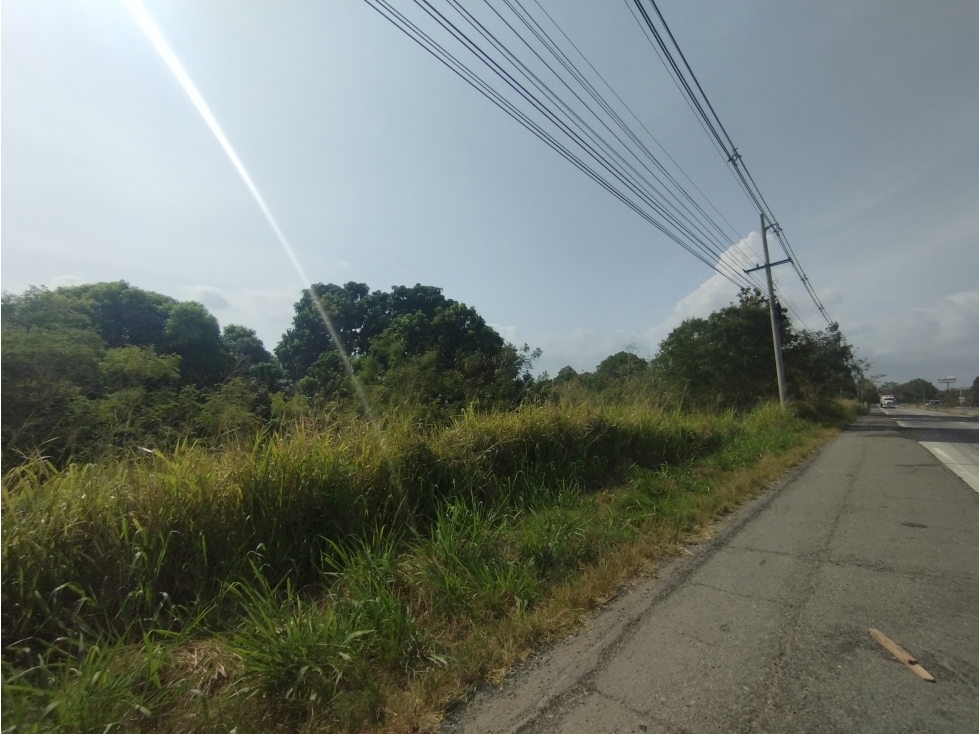 Se Vende Terreno Comercial en Interamericana Rio Hato-San Carlos (DR) - 3