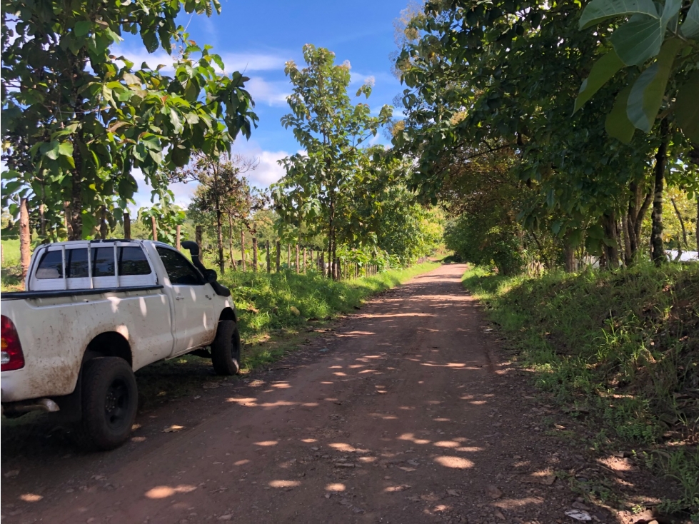 Terreno en venta de 12,907m2 en Montijo-Veraguas (DR) - 3
