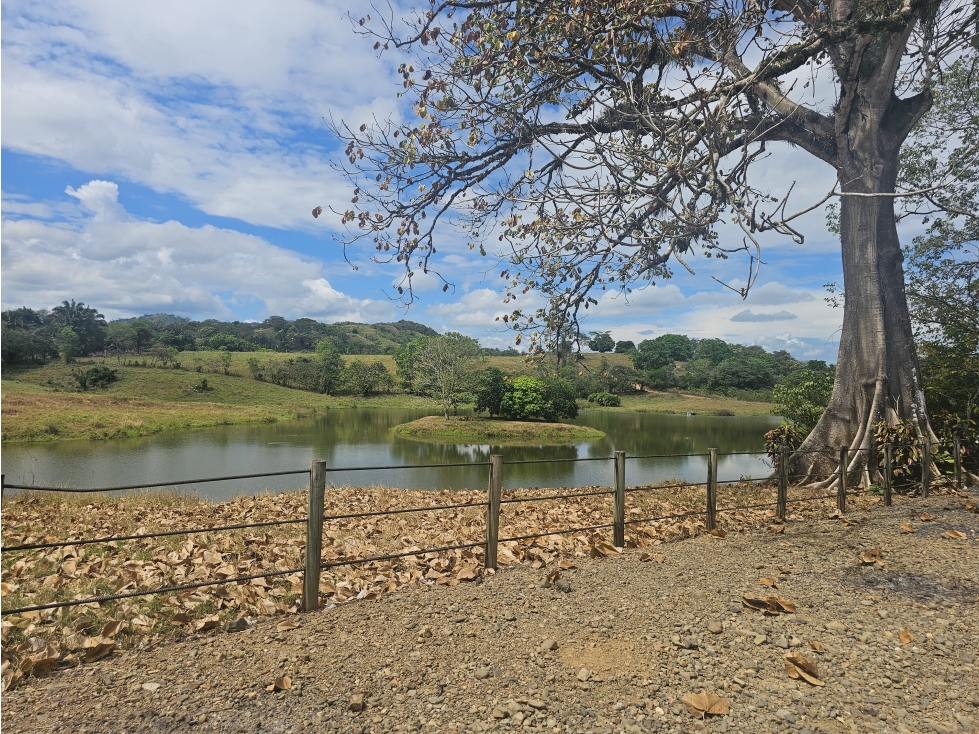 Se Vende Finca de 1796 Hectáreas en Santiago Veraguas - 3