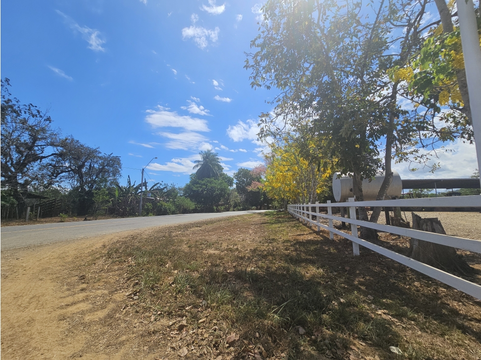 Se Vende Finca de 1796 Hectáreas en Santiago Veraguas - 5