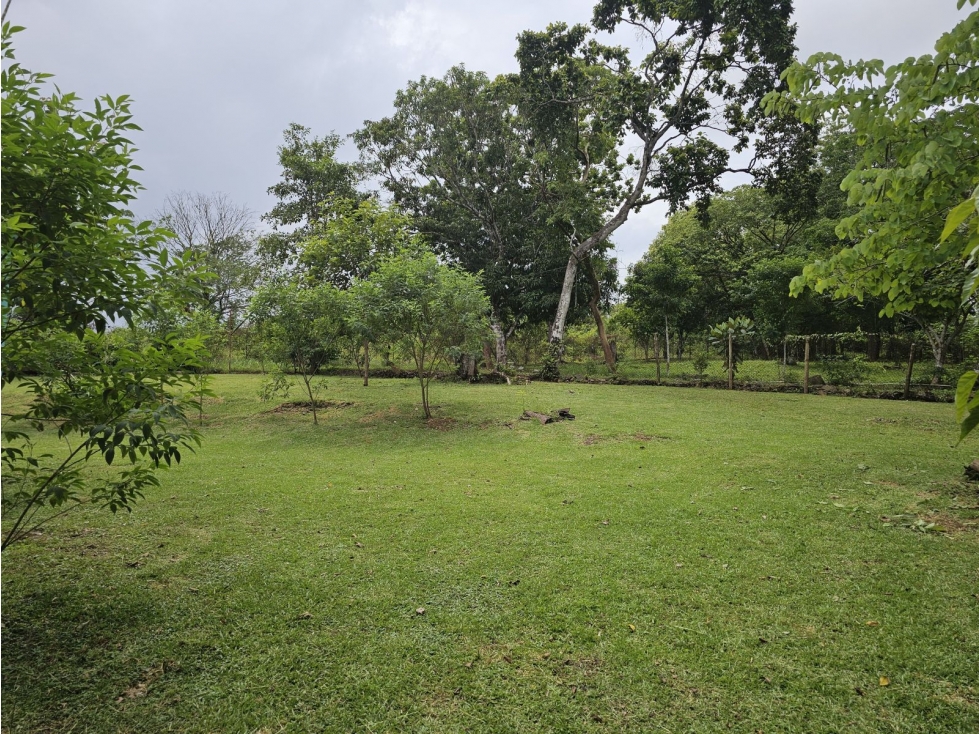 Se vende finca comercial de 3.8 hectáreas en Arraiján, Nuevo Chorrillo — foto 2