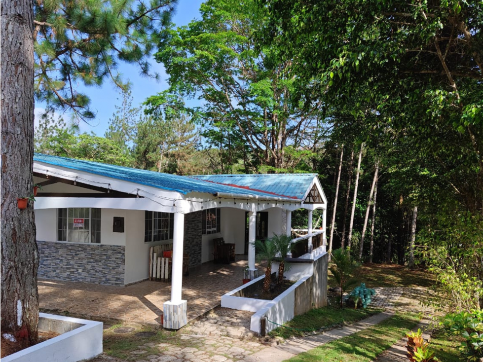 Se Vende Casa en Altos de Cerro Azul | El Guardían - 5