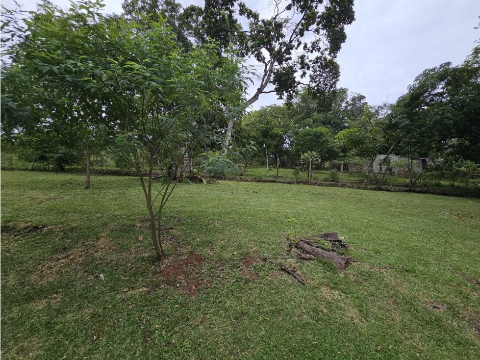 Se vende finca comercial de 3.8 hectáreas en Arraiján, Nuevo Chorrillo — foto 3