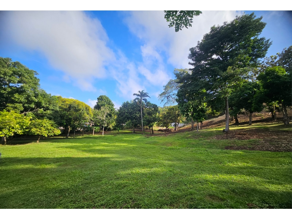 Se vende Terreno de 12000 mts2 en Villa Rosario Capira - 5