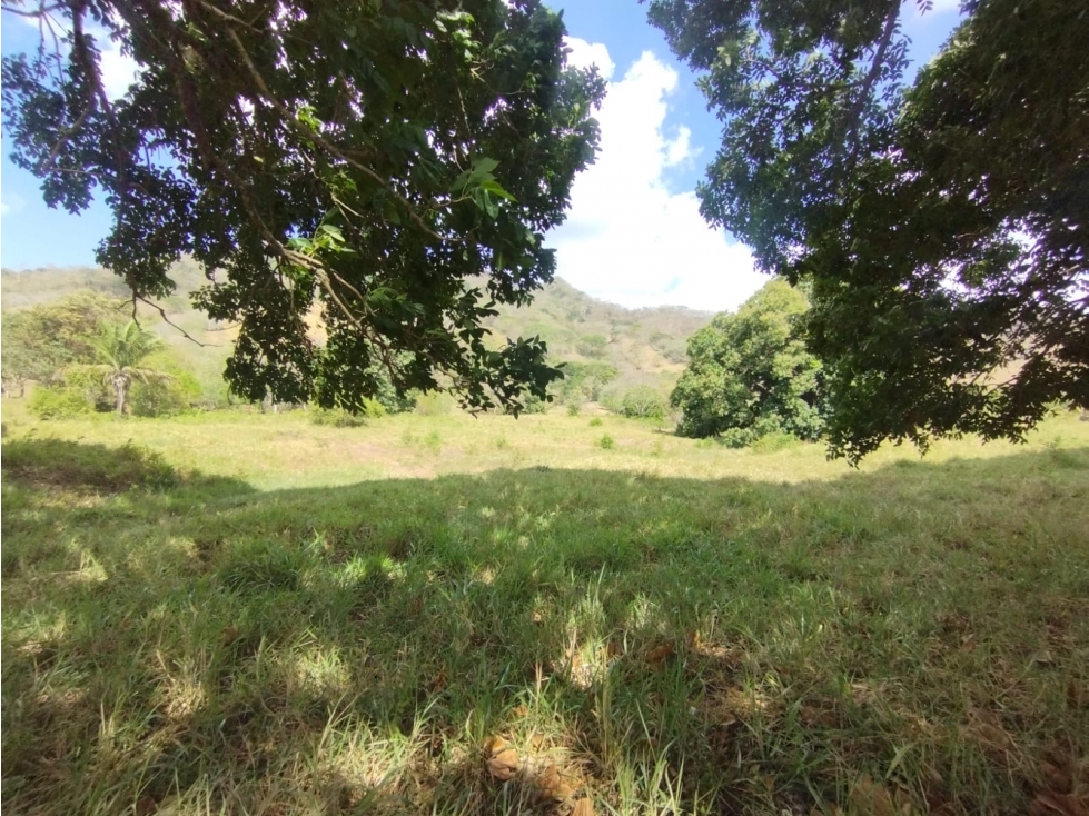 Se Vende Finca de 16 Has en Monte Oscuro La Chorrera (DR) - 2
