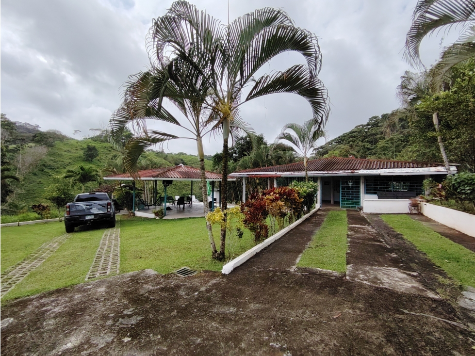 Se Vende Finca de 12 Has en Capira Trinidad con Casa Campestre (DR) - 5