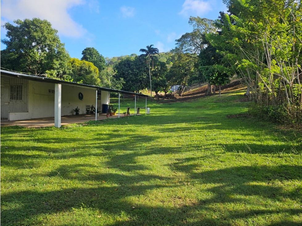 Se vende Terreno de 12000 mts2 en Villa Rosario Capira - 6