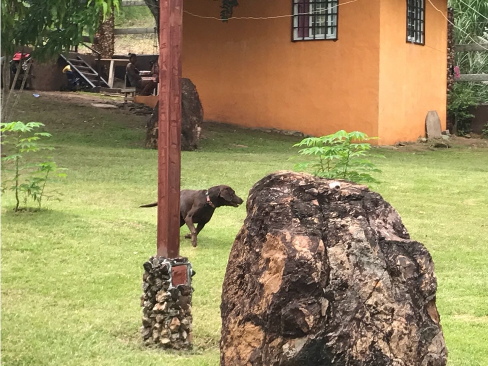 Se Vende Terreno en Sajalices de 4200Mt2 (DR) - 6