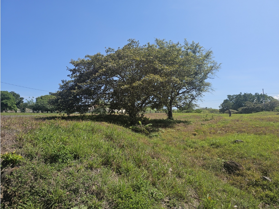Se Vende Finca de 20 Ha en San José de Coronado (DR) — foto 6