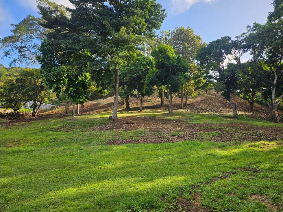 Se vende Terreno de 12000 mts2 en Villa Rosario Capira - 3