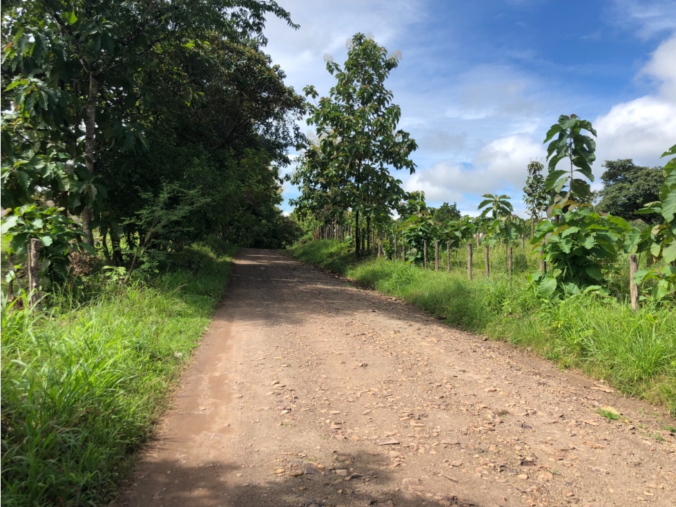 Terreno en venta de 12,907m2 en Montijo-Veraguas (DR) - 4