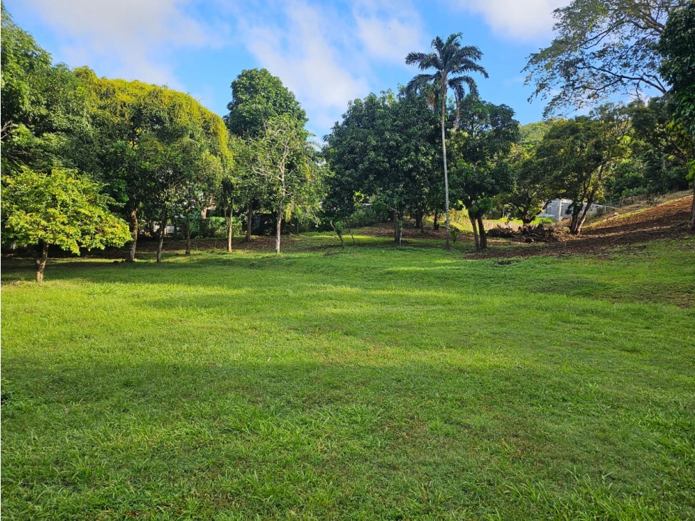 Se vende Terreno de 12000 mts2 en Villa Rosario Capira - 4