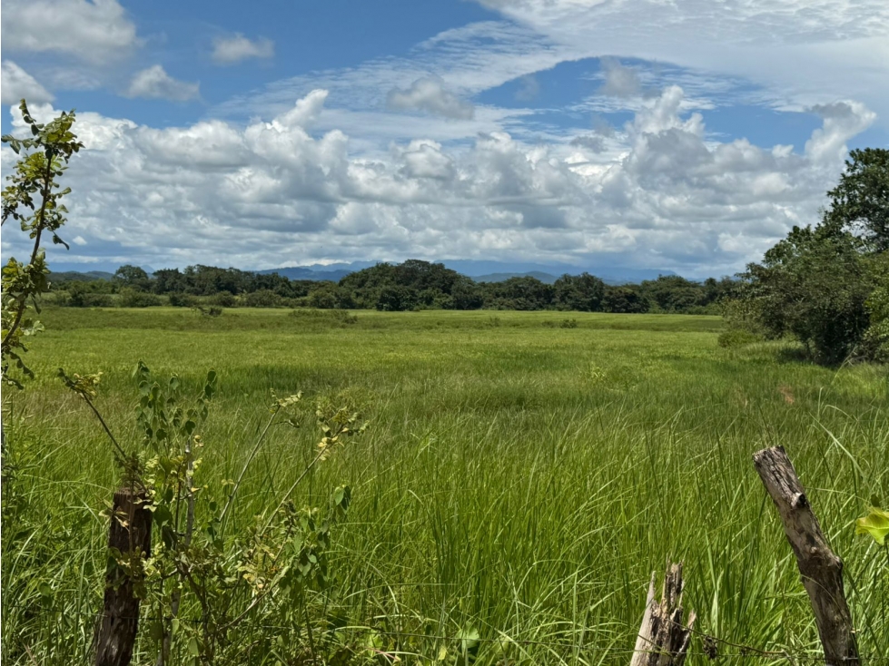 Finca en venta de 58.6 Has en Veraguas Santiago (DR) - 3