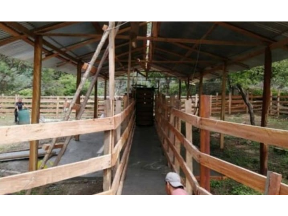 Se Vende Finca de 88,7 HAS en Capira Cermeño (DR) - 4