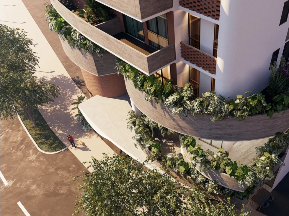 Proyecto Amara-El Cangrejo