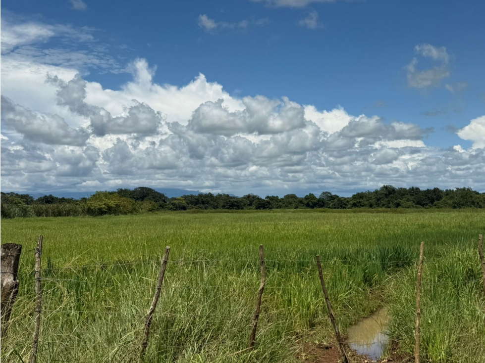 Finca en venta de 58.6 Has en Veraguas Santiago (DR) - 4