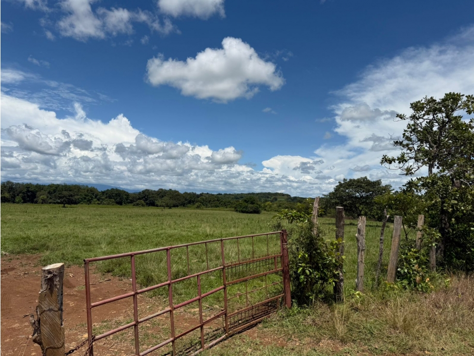 Finca en venta de 58.6 Has en Veraguas Santiago (DR) - 5